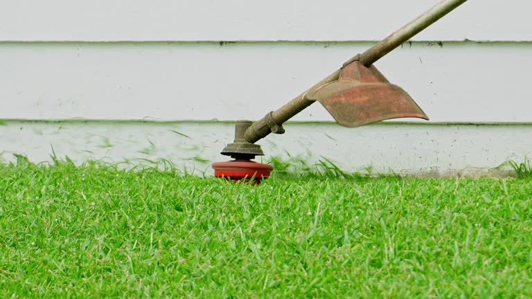 Best Lawn Drainage Solutions  in USA